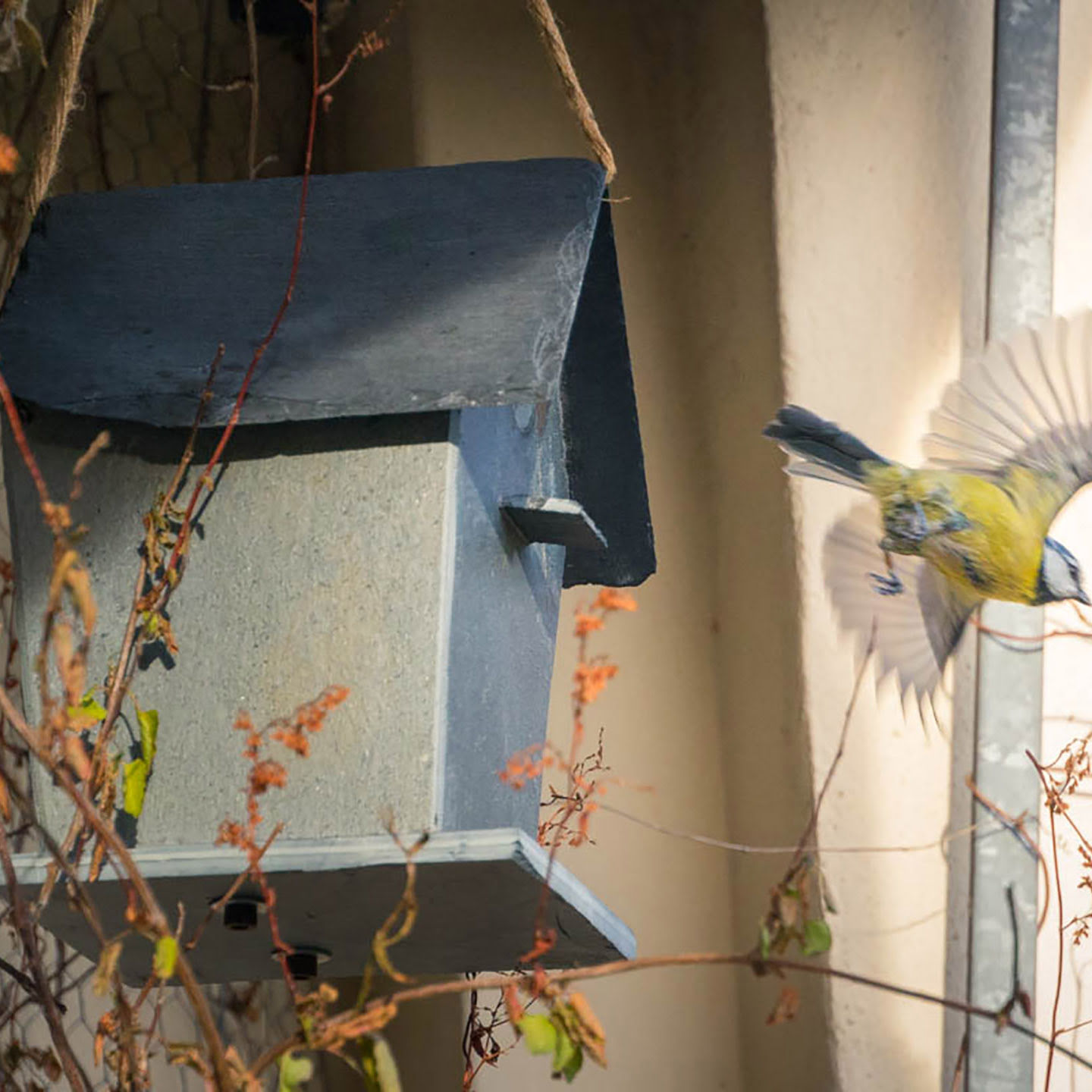 Vogelhäuschen modern Balkon Garten von CLIMAQUA