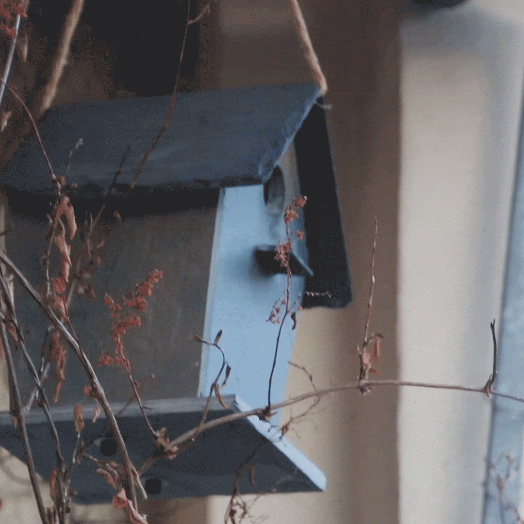 Schiefer Vogelhaus klein Birdhouse S von CLIMAQUA