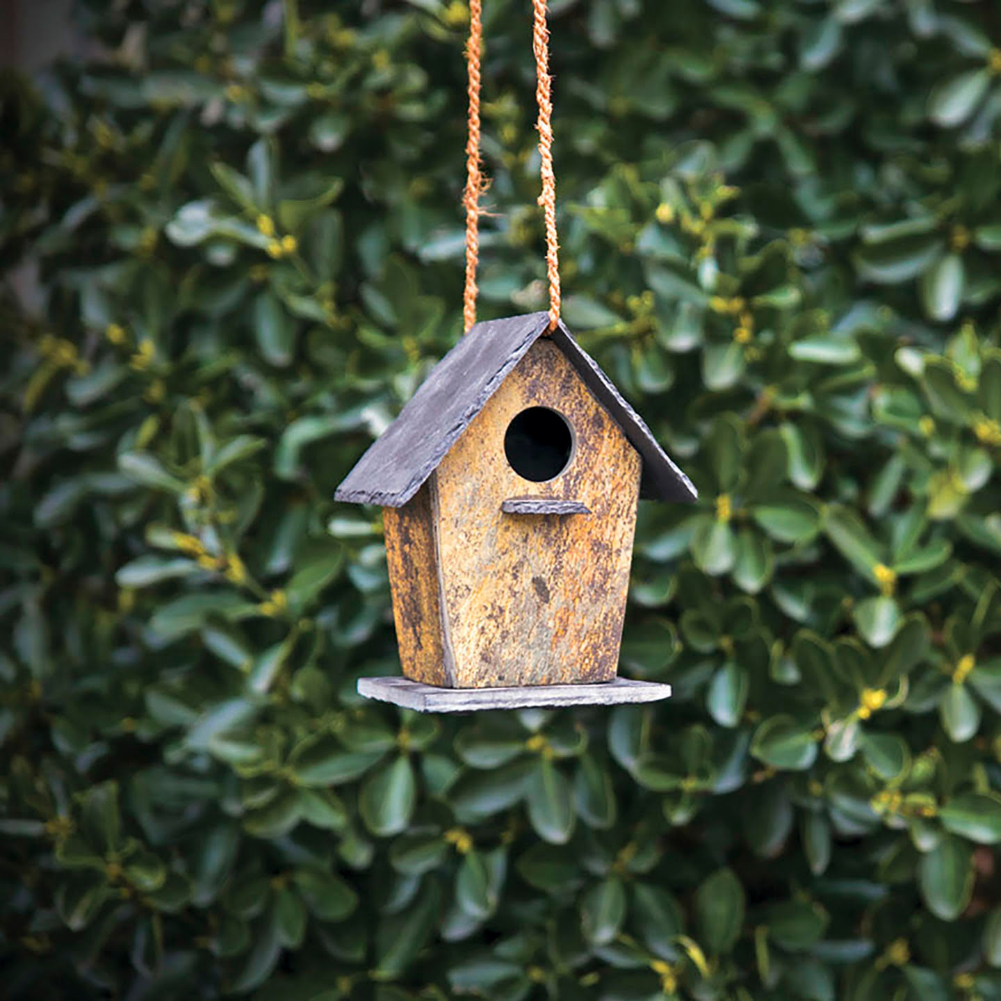 Vogelhaus klein für den Garten kaufen